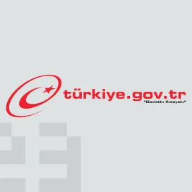 Turkiye Gov Tr